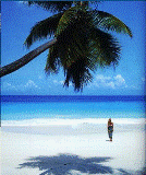 Desde Rep&uacute;blica Dominicana para el Mundo.